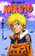 Naruto_vol12_special.jpg