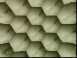 2453.jpg