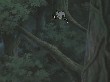 Naruto_113(79).jpg