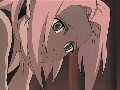 140196.jpg