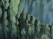 174075.jpg